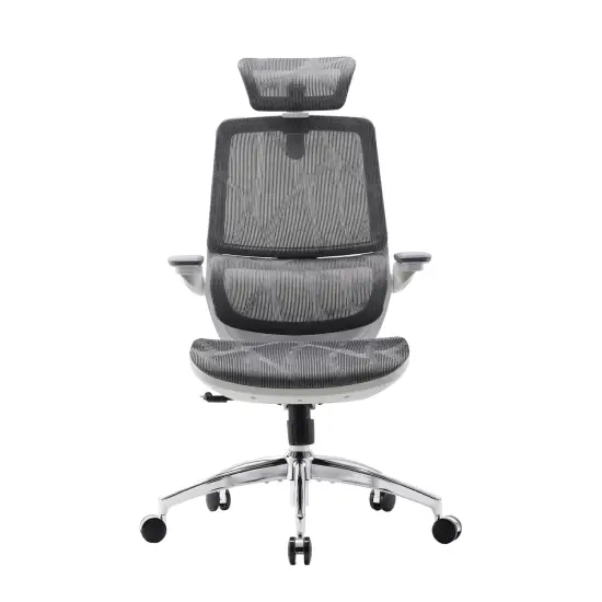 Sihoo M59AS Ergonomic Office Chair